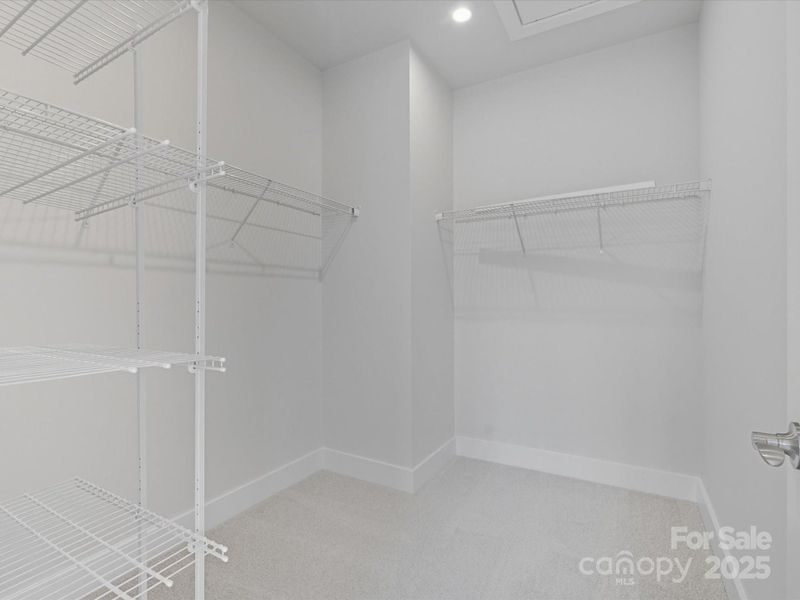 Generous primary walk-in closet.