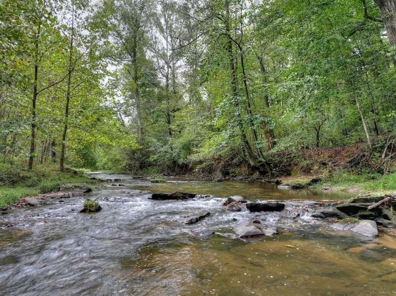 Natural landscape and outdoor views near  in Ellijay (Image 47).