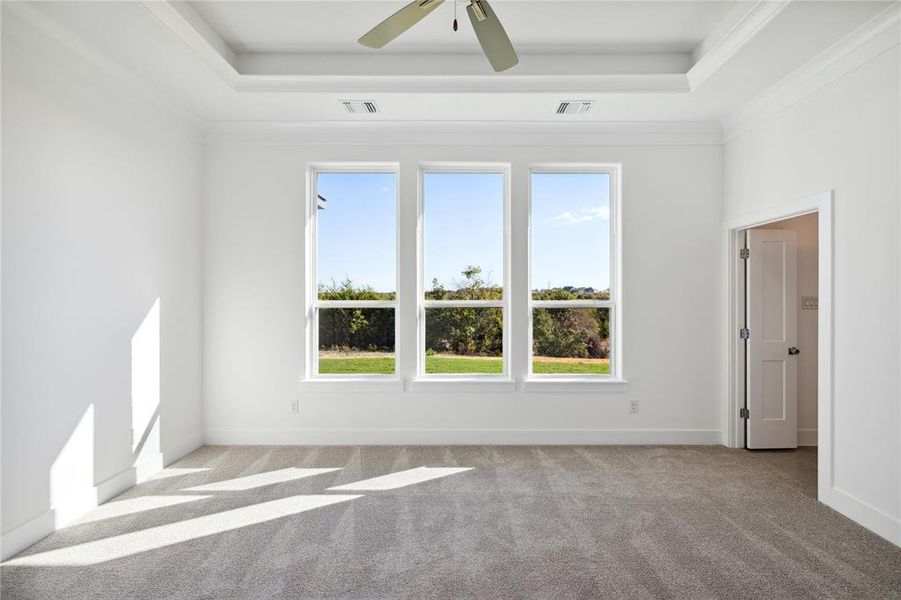 Spare room featuring a raised ceiling, light carpet, ceiling fan, and crown molding