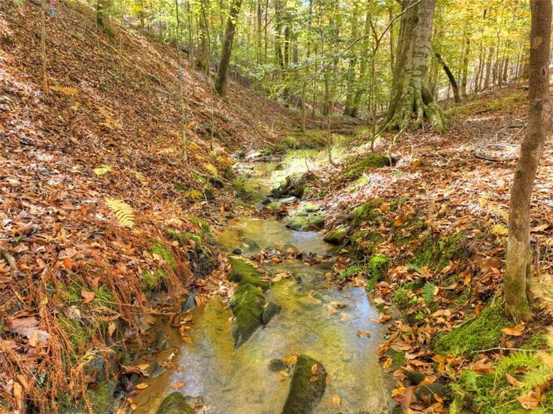 Natural landscape and outdoor views near  in Ellijay (Image 38).