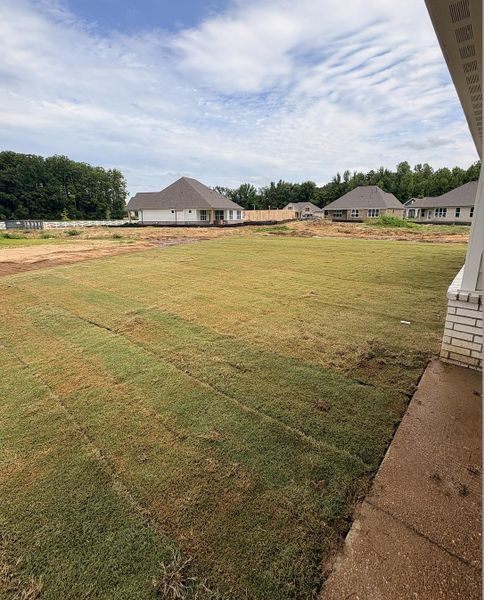 Expansive backyard with newly laid sod, providing a fresh green lawn Expansive backyard with newly laid sod, providing a fresh green lawn