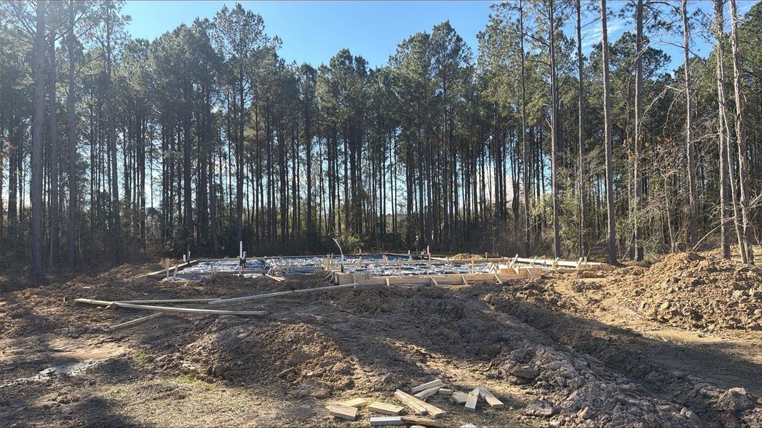 Site preparation for new homesites in Encino Estates, Dayton (Image 9).