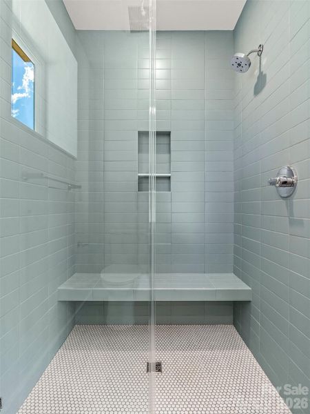Lower level shower