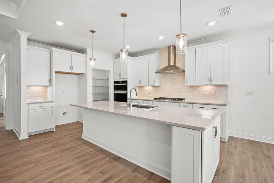 Furnished interior view inside a new home in Carolina Riverside, Belmont (Image 9).
