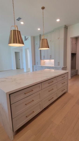 Slide out drawers on Island.