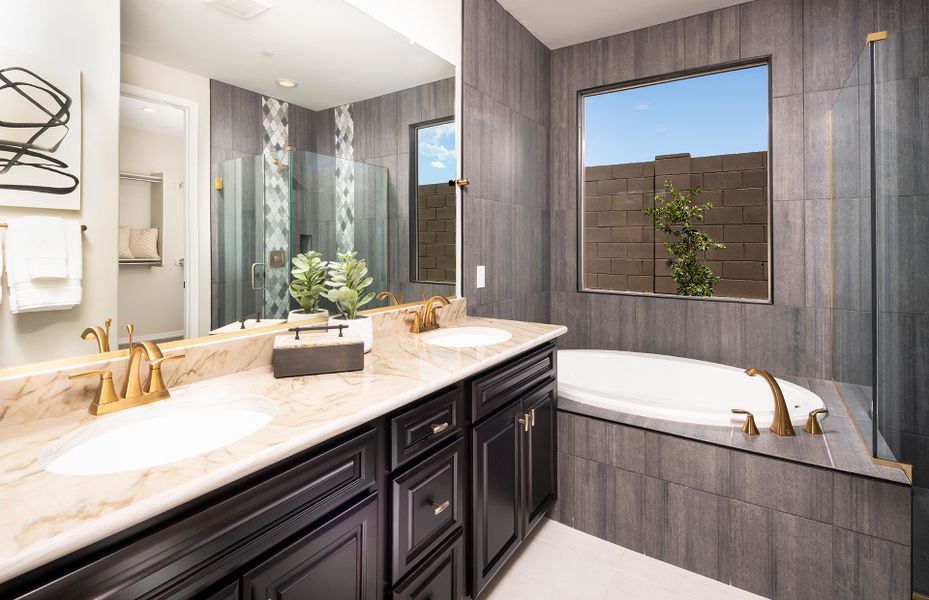 Luxurious Owner's Bath Luxurious Owner's Bath