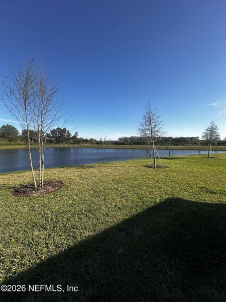 Natural landscape and outdoor views near in Palm Coast (Image 25). Natural landscape and outdoor views near in Palm Coast (Image 25).