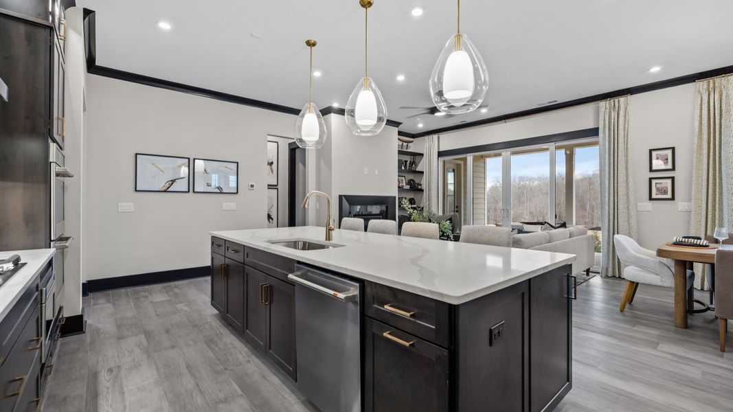 The Enthusiast Plan by DBR Homes kitchen and living area with modern features in Fort Mill, SC.