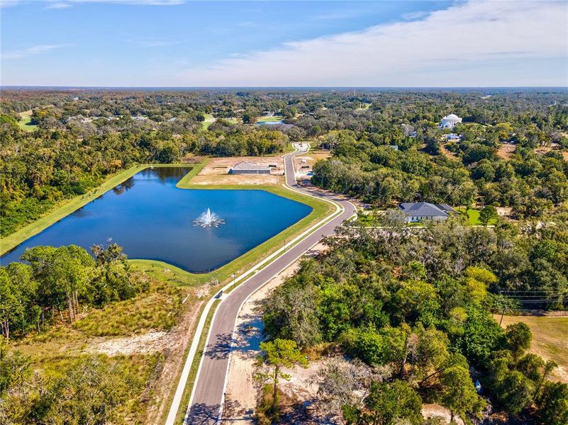 Natural landscape and outdoor views near North Lake Estates in Tarpon Springs (Image 6). Natural landscape and outdoor views near North Lake Estates in Tarpon Springs (Image 6).
