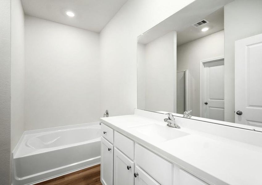 The master bathroom has a step in shower, soaking tub and large vanity.