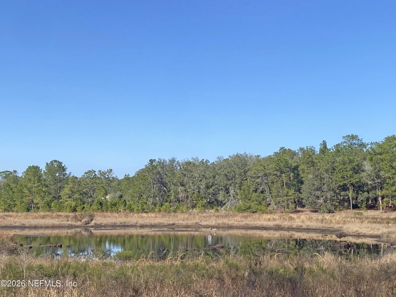 Natural landscape and outdoor views near  in Hawthorne (Image 32).