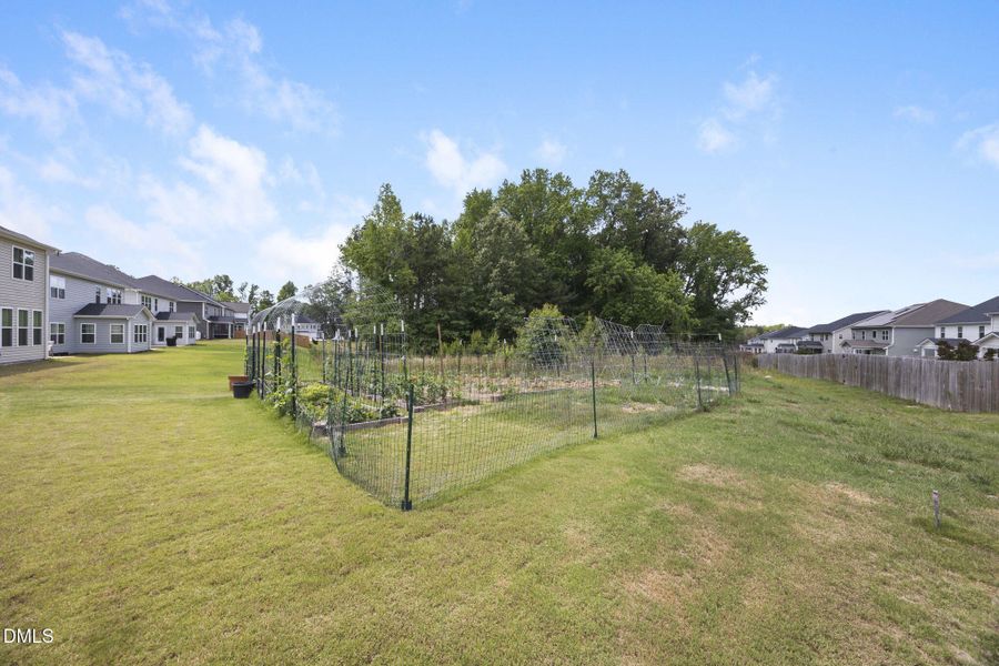 6-web-or-mls-484A9170