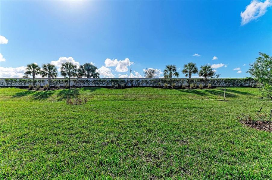 Natural landscape and outdoor views near Star Farms at Lakewood Ranch in Lakewood Ranch (Image 33).
