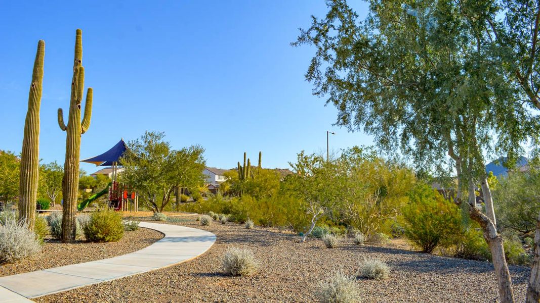 Community amenities associated with the Amherst by D.R. Horton in Aloravita, Peoria (Image 20).