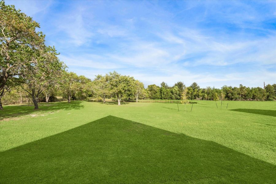 Natural landscape and outdoor views near  in Fulshear (Image 24).