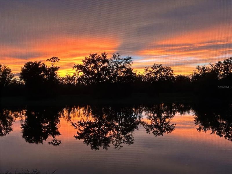 Natural landscape and outdoor views near  in Bradenton (Image 93).