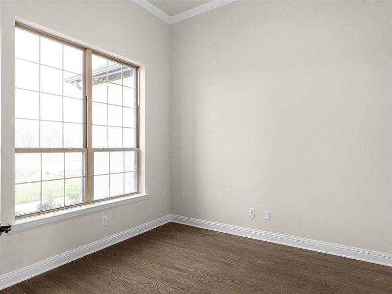 Unfurnished room featuring crown molding and dark wood finished floors