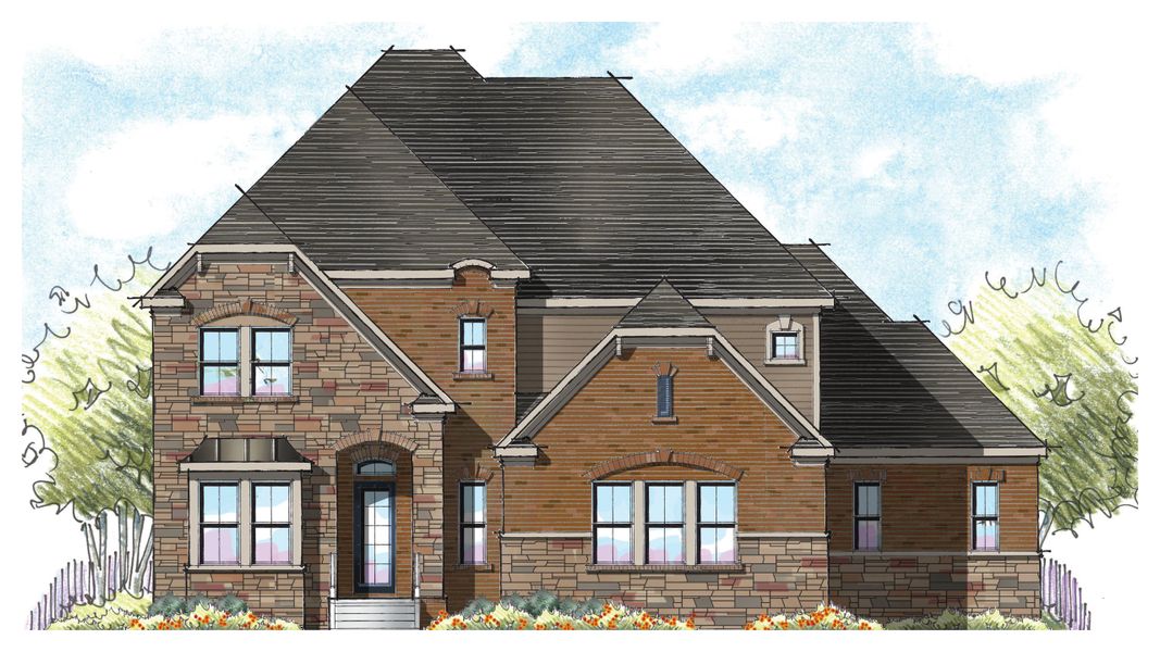 Morning Glory French Country Morning Glory French Country