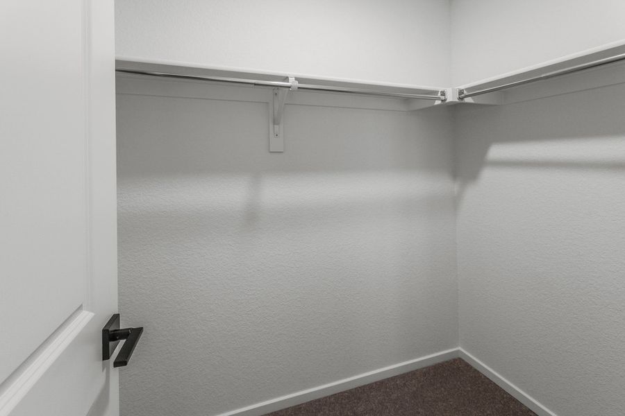 Spacious, unfurnished interior of a new home in Bloom, Fort Collins (Image 21).