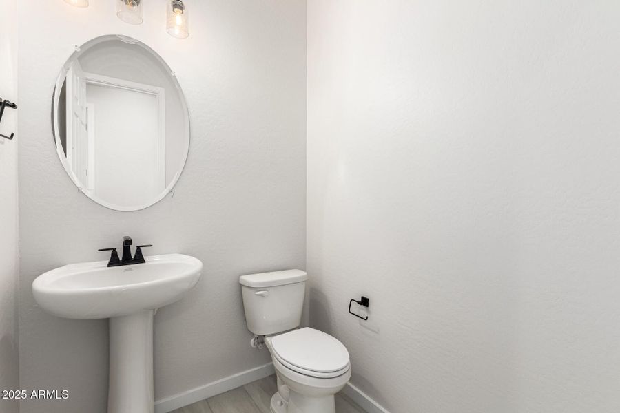 14-Hollyhock 14-Hollyhock