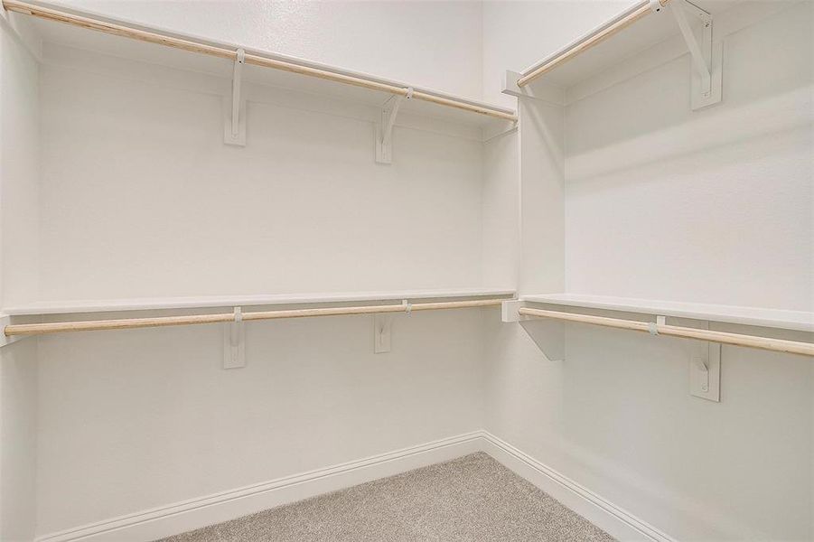 Walk in closet featuring carpet floors