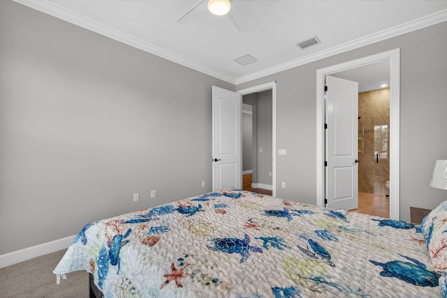 34-web-or-mls-3A5A7979