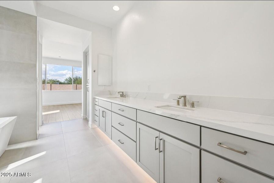 Primary Bathroom VIew F