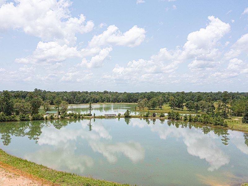 Natural landscape and outdoor views near Lakes at Crockett Martin in Conroe (Image 26).