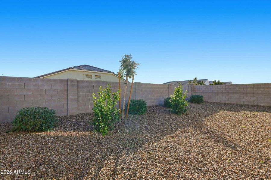 Backyard Desert Landscape