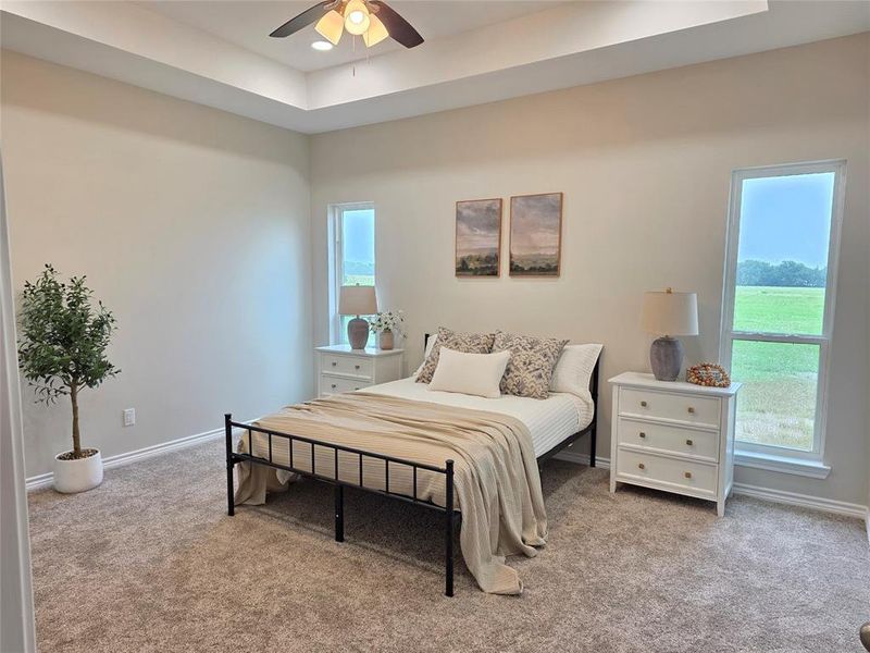 Bedroom with carpet floors, multiple windows, and a tray ceiling Bedroom with carpet floors, multiple windows, and a tray ceiling