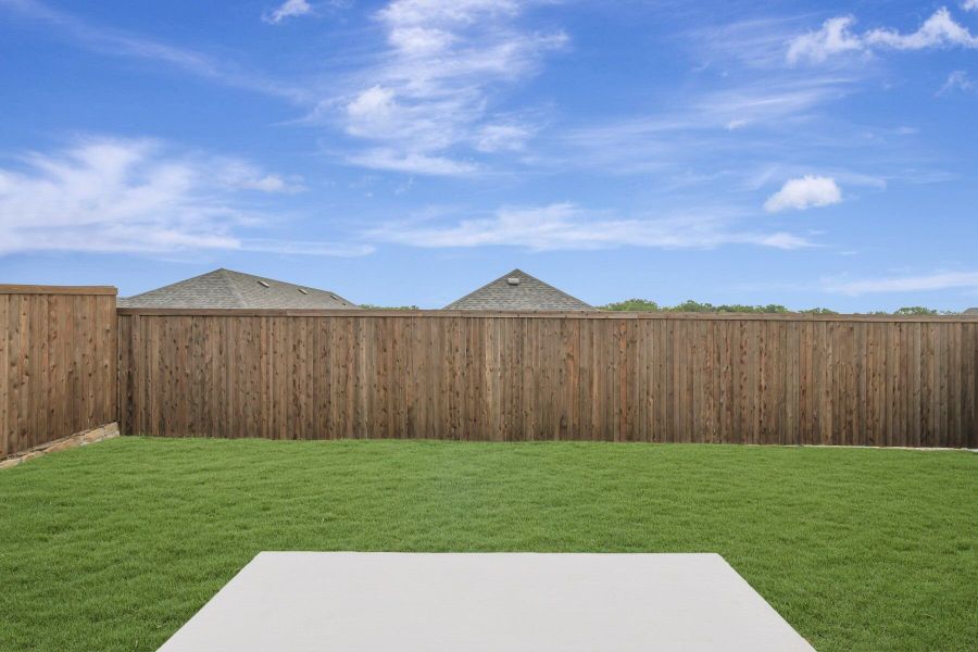 Backyard Backyard