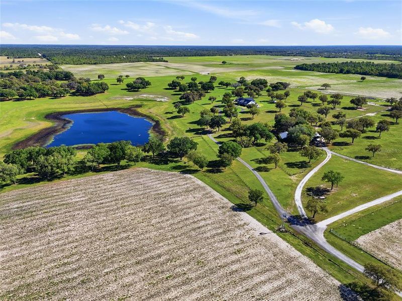 Natural landscape and outdoor views near  in Bronson (Image 75).
