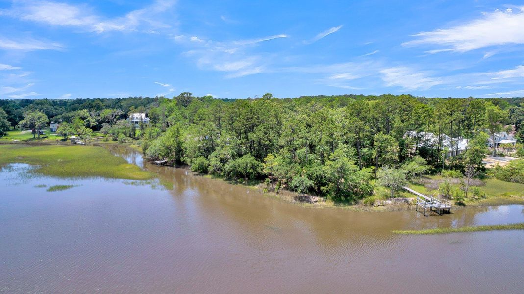Natural landscape and outdoor views near  in Ravenel (Image 88).