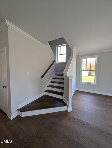 PXL_20251120_144903365.MP