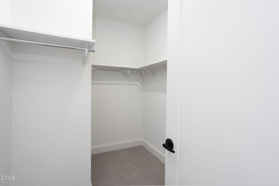 Novus_2_MLS-15 Novus_2_MLS-15