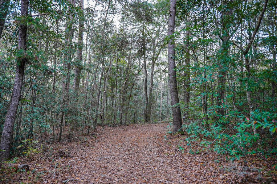Natural landscape and outdoor views near in Dorchester (Image 26). Natural landscape and outdoor views near in Dorchester (Image 26).