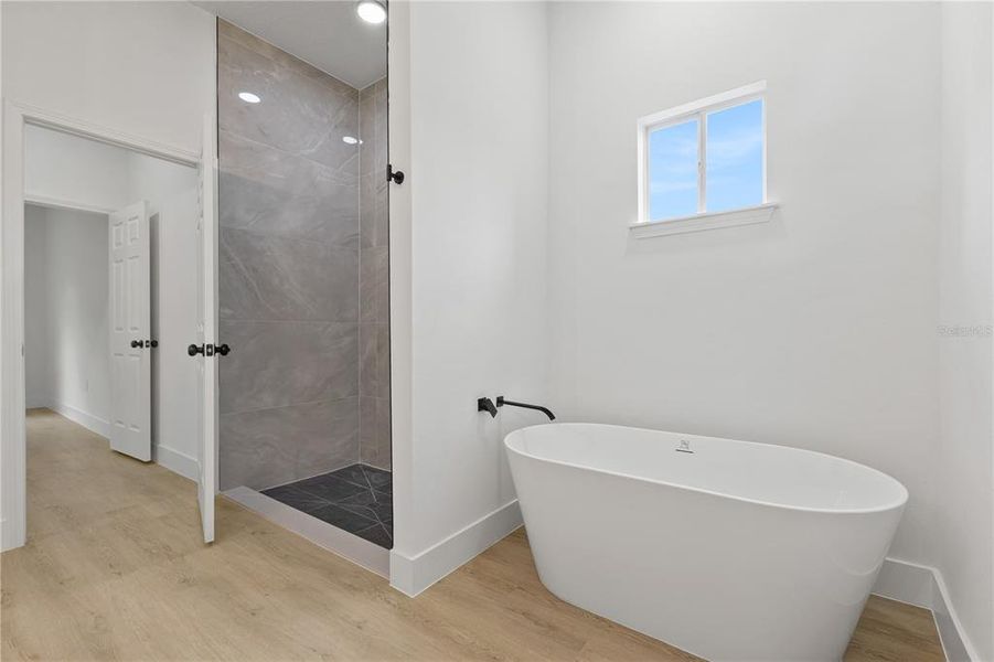 Furnished interior view inside a new home in , Ocala (Image 2).