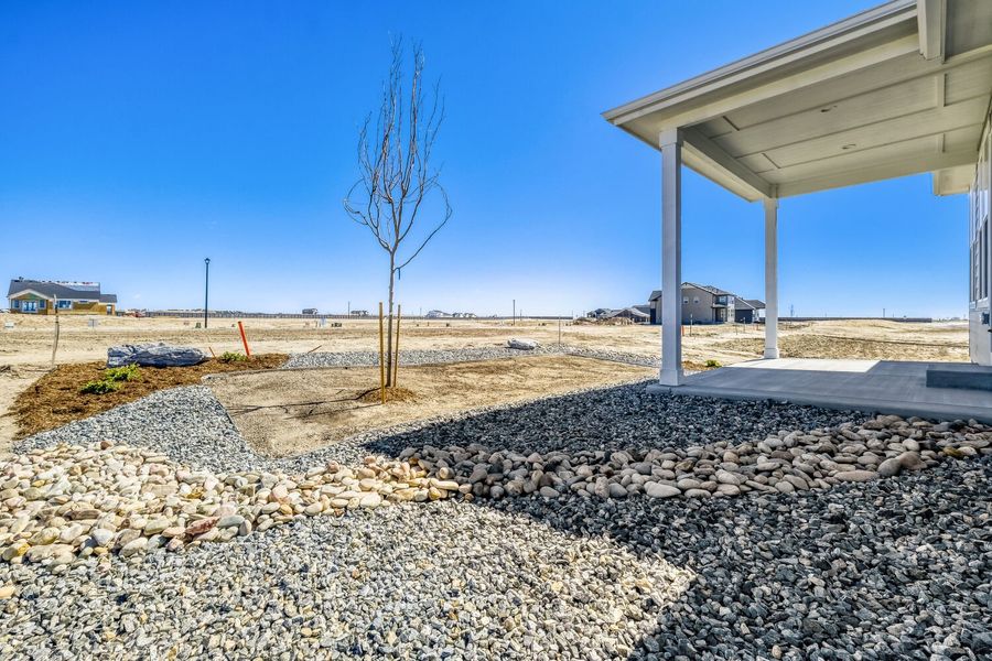 8777 San Diego - Backyard