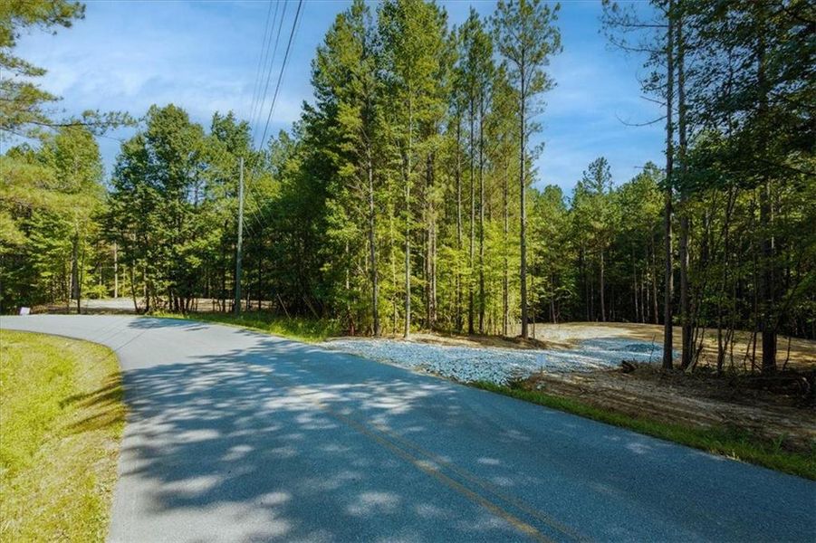 Natural landscape and outdoor views near  in Rockmart (Image 29).