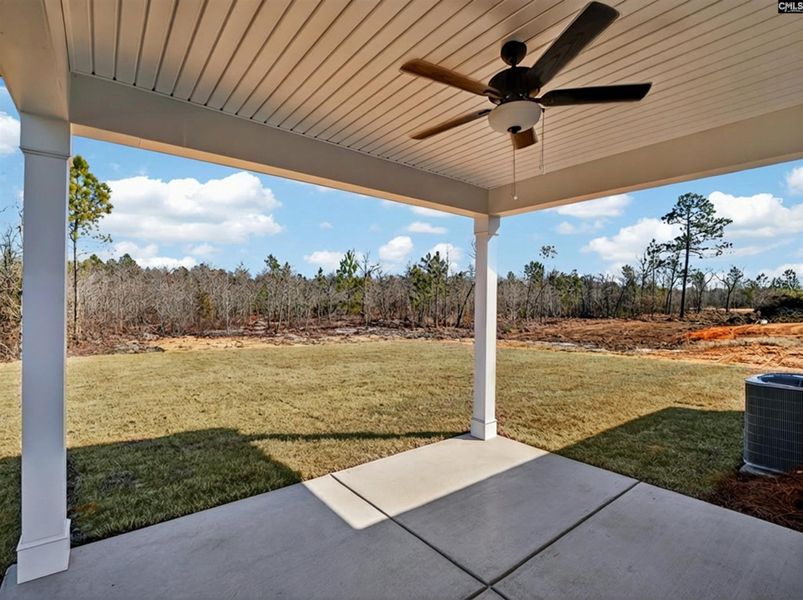 Exterior details and patio area of a home in Old Charleston Acres, Pelion (Image 25).