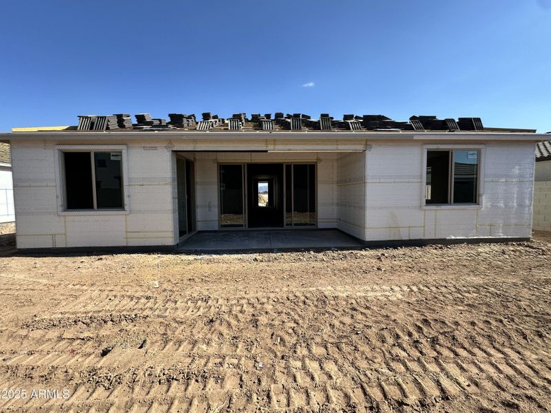 0012_ Backyard 0012_ Backyard