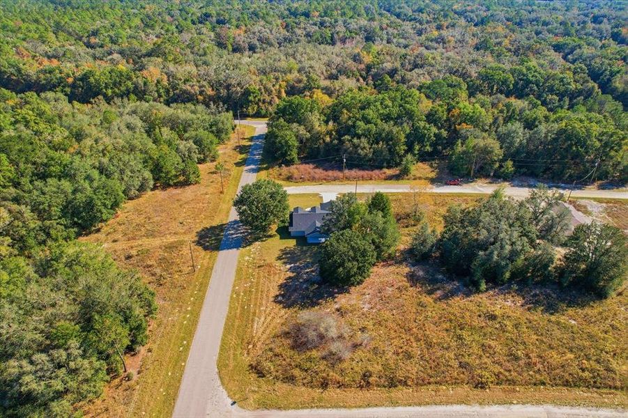 Natural landscape and outdoor views near  in Dunnellon (Image 31).