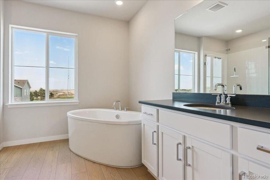 Furnished interior view inside a new home in Trails at Smoky Hill, Parker (Image 6).