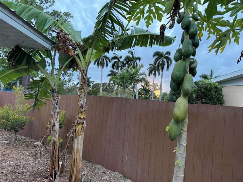 Exterior details and patio area of a home in , Bradenton (Image 25).