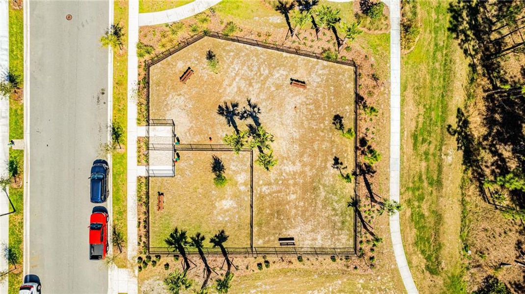 Site preparation for new homesites in , Winter Garden (Image 38). Site preparation for new homesites in , Winter Garden (Image 38).