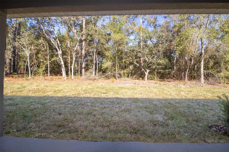 Natural landscape and outdoor views near Pine Ridge Estates in Beverly Hills (Image 40). Natural landscape and outdoor views near Pine Ridge Estates in Beverly Hills (Image 40).