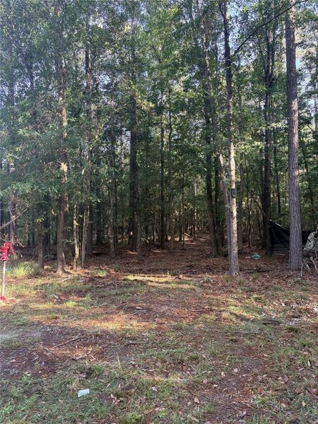 Natural landscape and outdoor views near in Silsbee (Image 10). Natural landscape and outdoor views near in Silsbee (Image 10).