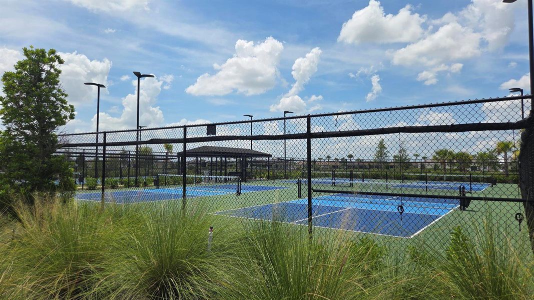 pickleball pickleball