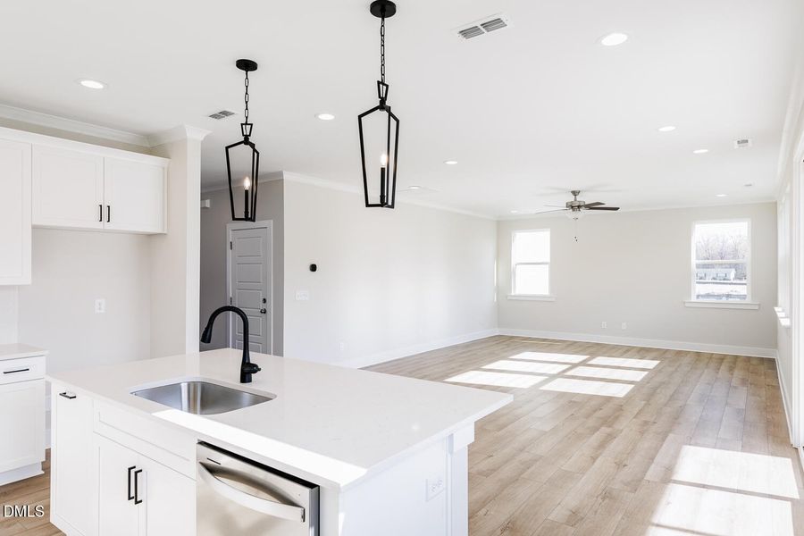 RDU_GroveatGinBranch_Shenandoah_Lot 4_Gr RDU_GroveatGinBranch_Shenandoah_Lot 4_Gr