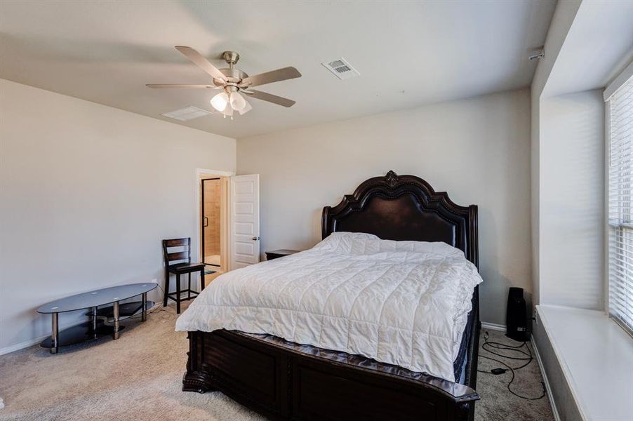 Bedroom with carpet and ceiling fan Bedroom with carpet and ceiling fan